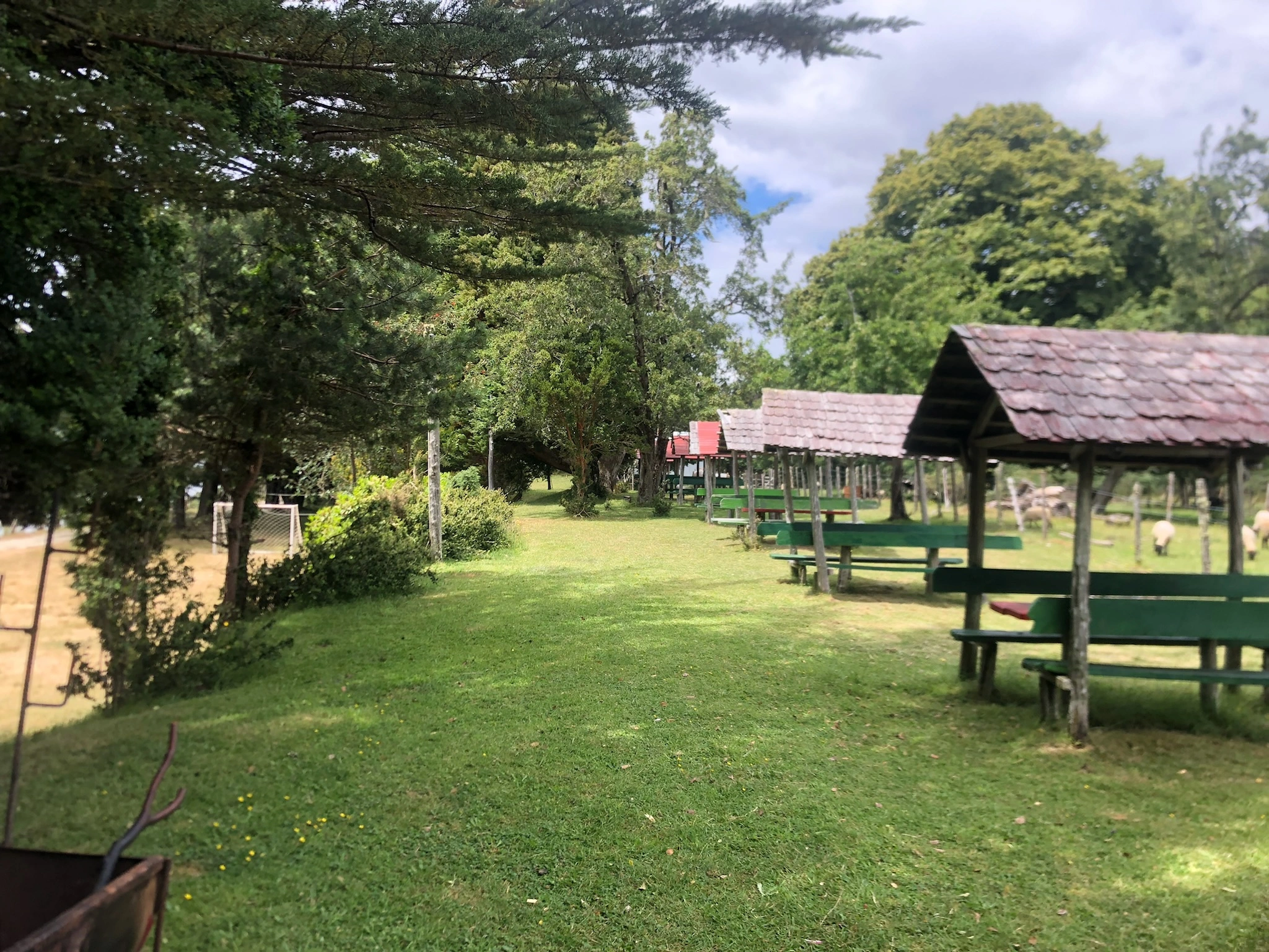 Zona de camping en El Morrito con áreas verdes y sombra